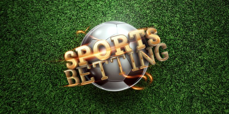 Đóng góp của các cầu thủ Chelsea ở đấu trường quốc tế